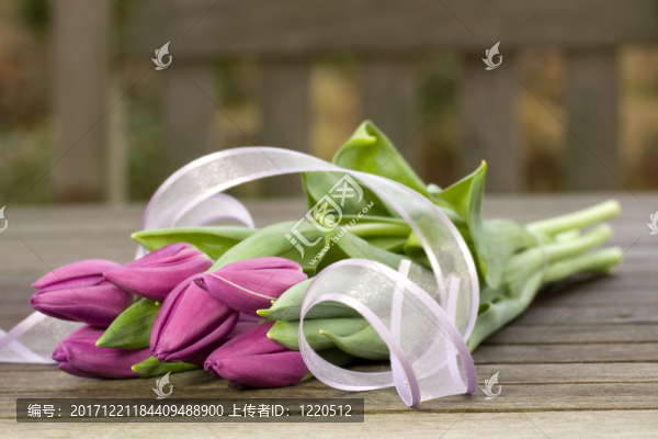 母親節(jié)的郁金香花束