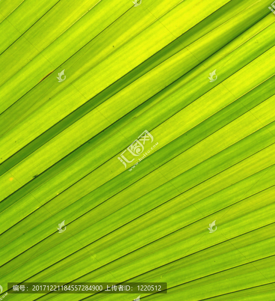 緊密的