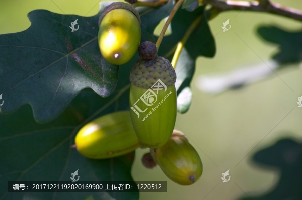 藍(lán)色