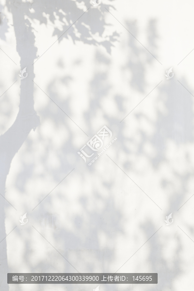 白墻樹影