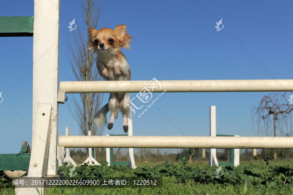 運動