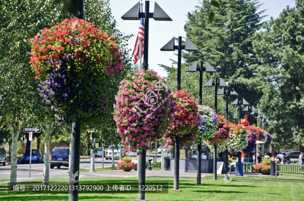 公園