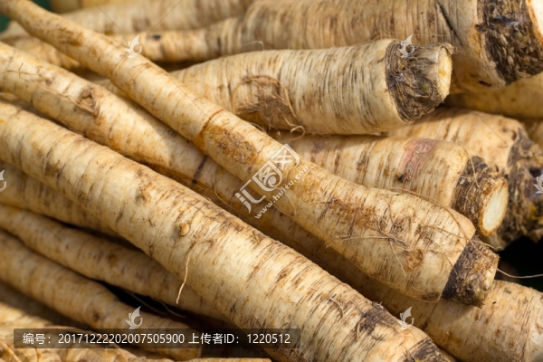 食物