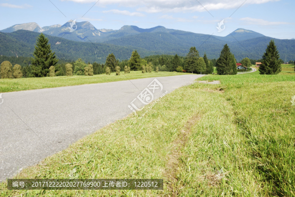 山