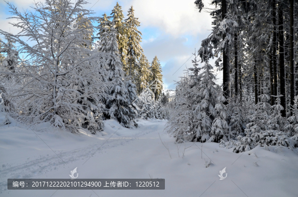 冬天在山上的雪