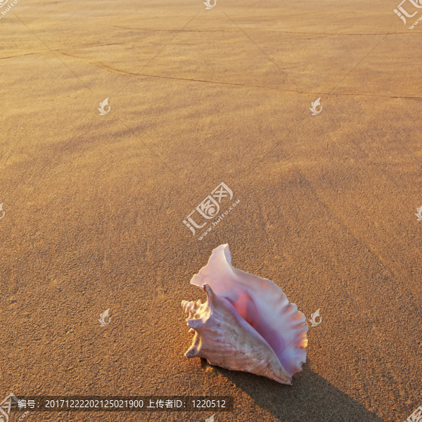 假日
