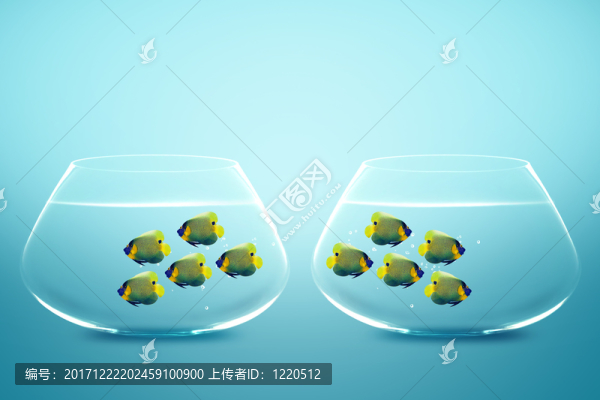 運(yùn)動(dòng)