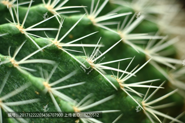 危險(xiǎn)