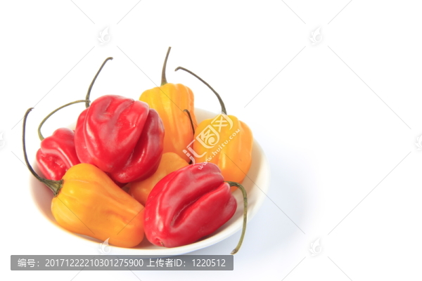 哈瓦那人辣椒