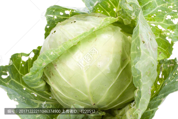 食物