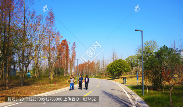 巴溪洲景區(qū)