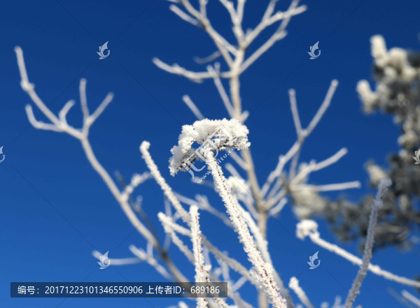 霧凇