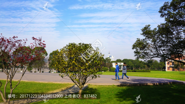橘子洲公園景區(qū)