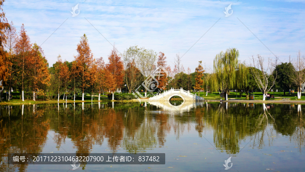 橘子洲公園景區(qū)