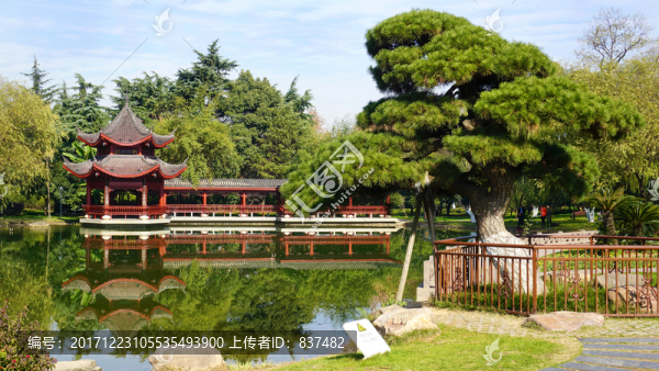 橘子洲公園枕江亭