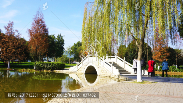 橘子洲公園景區(qū)