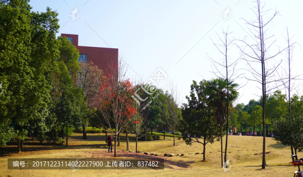 湖南農(nóng)大校園風(fēng)景