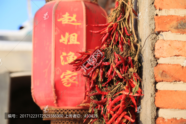 漁家樂