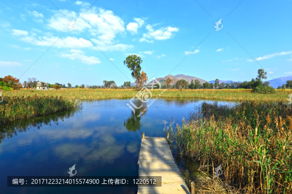 藍色