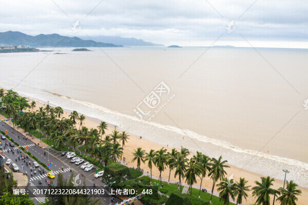 海濱,大海,黃色的大海,海灘