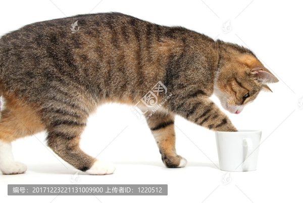 針術(shù)