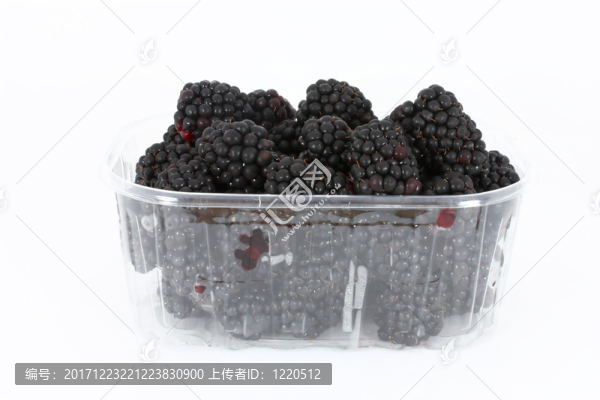 食物