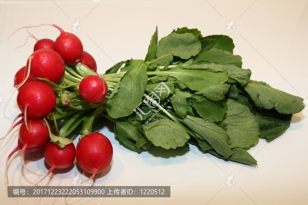 食物