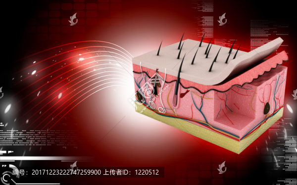 教育
