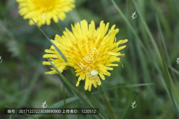 環(huán)境
