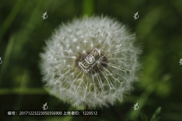 環(huán)境