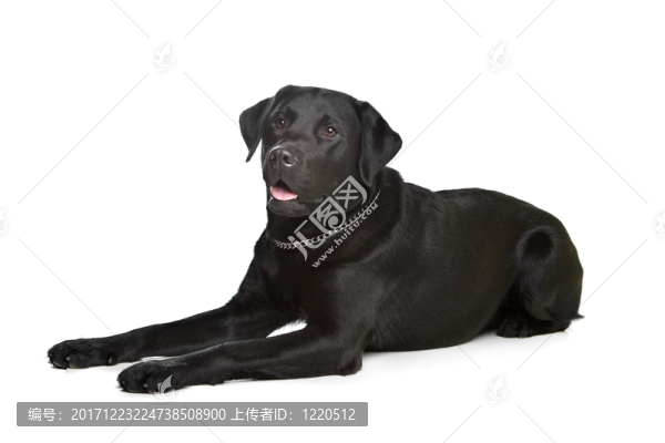 咽鼓管異常開放