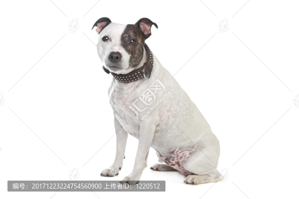 咽鼓管異常開放