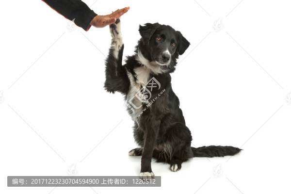 咽鼓管異常開放