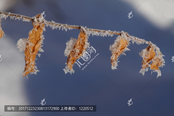 冰河世紀(jì)
