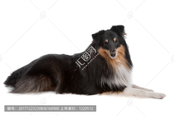 咽鼓管異常開放