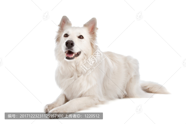 咽鼓管異常開放