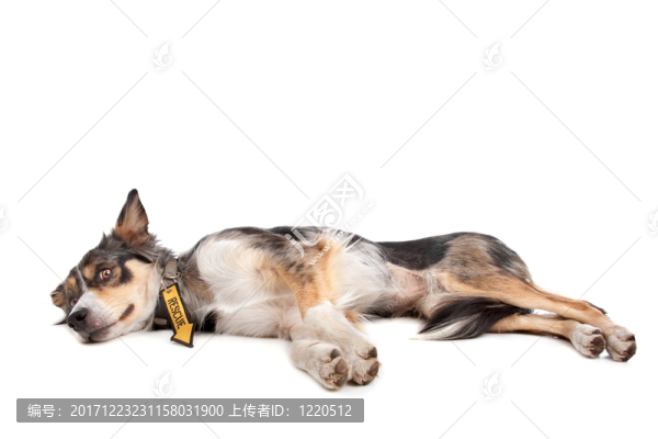 咽鼓管異常開放