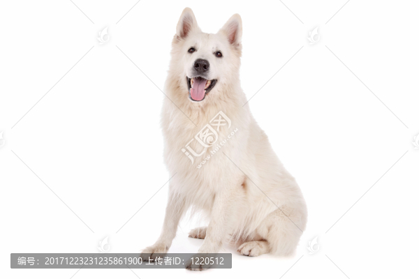 咽鼓管異常開放