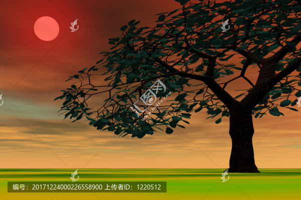 紅太陽