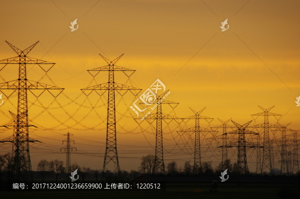 電線桿