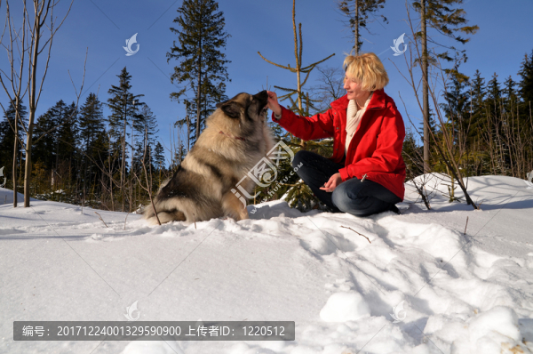 狗在雪中的女人
