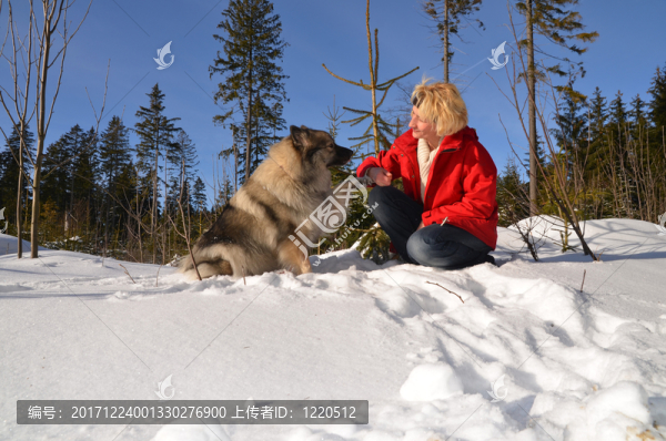 狗在雪中的女人