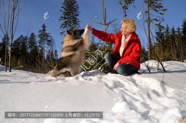 狗在雪中的女人