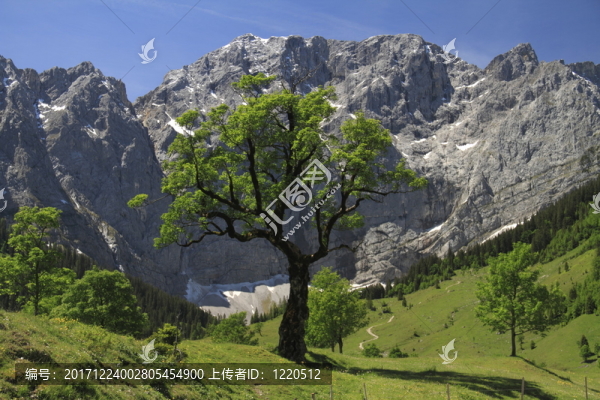 的Karwendel