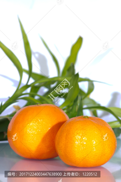 蜜桔