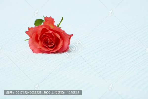物體