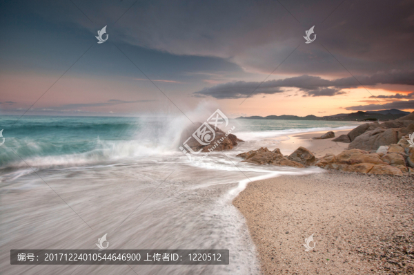 cala,ginepro