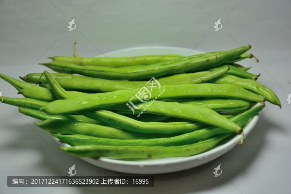 四季豆