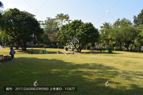 漂亮的公園草地植物景觀
