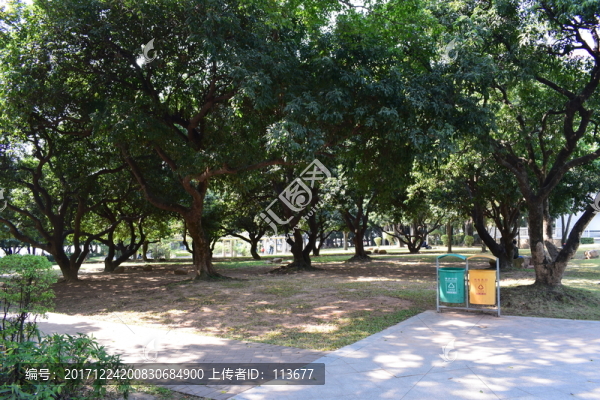 大自然公園一角垃圾桶